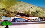 Gorman Bus 