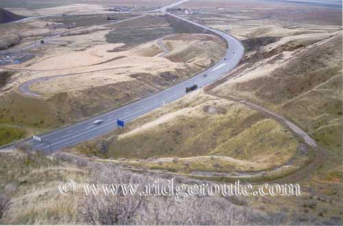 The Grapevine Today